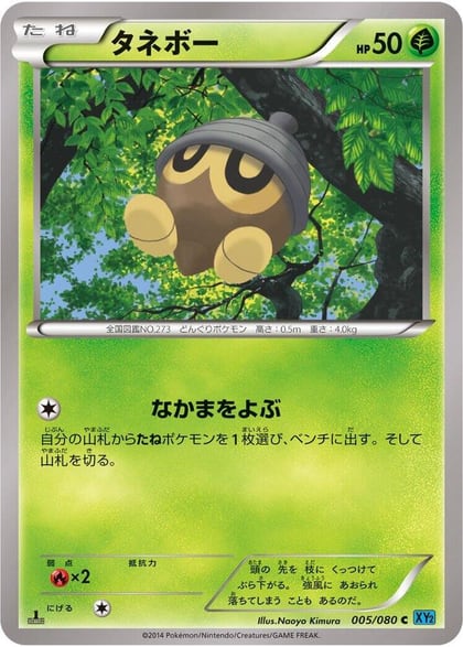Seedot, XY2: Wild Blaze 005/080