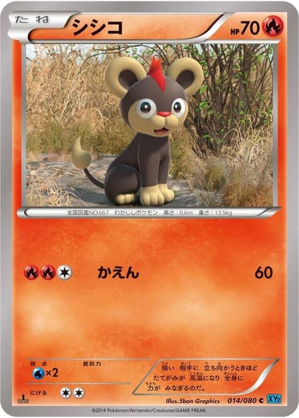 Litleo, XY2: Wild Blaze 014/080