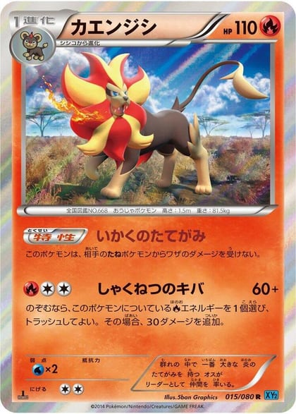 Pyroar, XY2: Wild Blaze 015/080