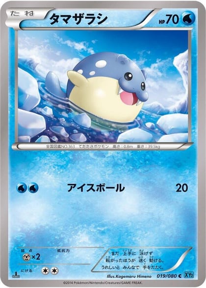 Spheal, XY2: Wild Blaze 019/080