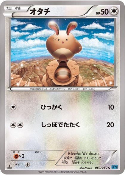 Sentret, XY2: Wild Blaze 067/080