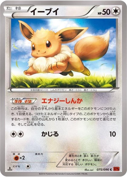 Eevee, XY3: Rising Fist 075/096