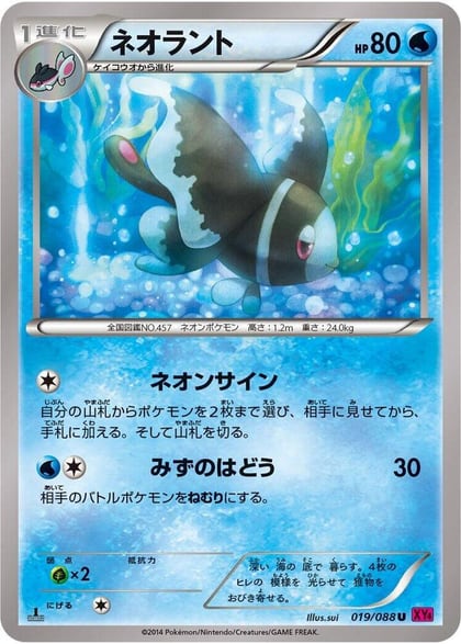 Lumineon, XY4: Phantom Gate 019/088