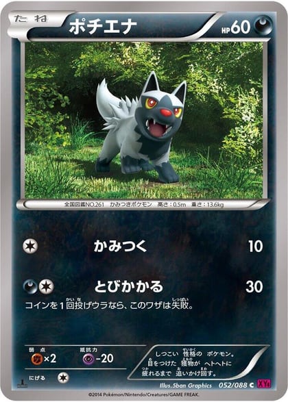 Poochyena, XY4: Phantom Gate 052/088