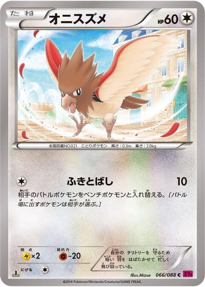 Spearow, XY4: Phantom Gate 066/088
