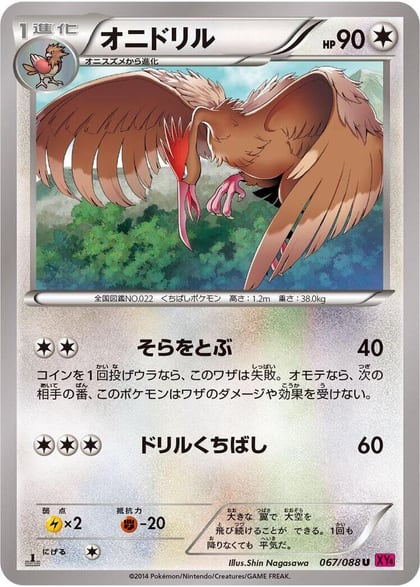 Fearow, XY4: Phantom Gate 067/088