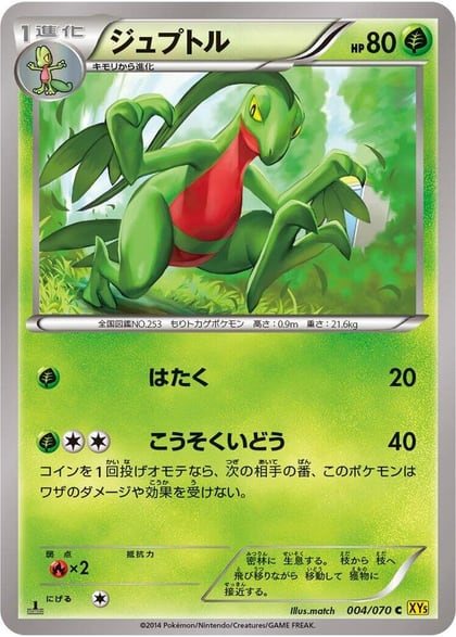 Grovyle, XY5-Bg: Gaia Volcano 004/070