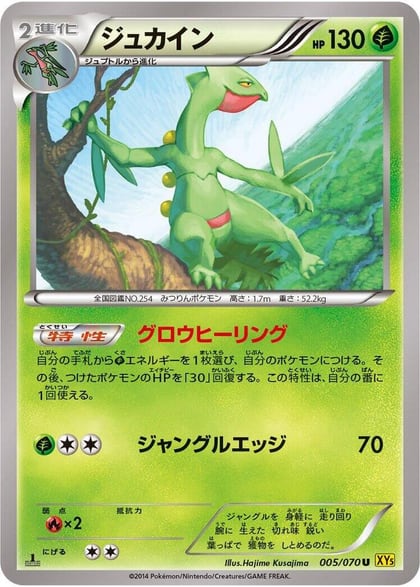Sceptile - 005/070, XY5-Bg: Gaia Volcano 005/070