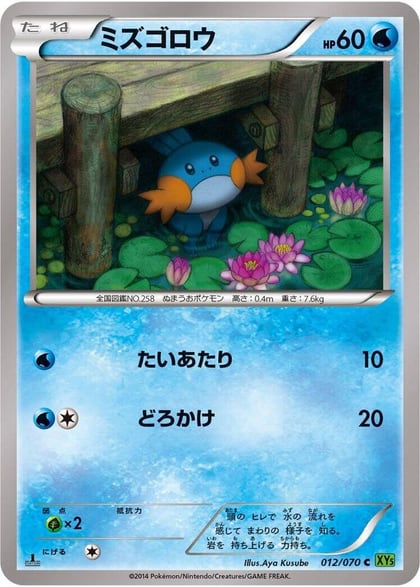 Mudkip, XY5-Bt: Tidal Storm 012/070