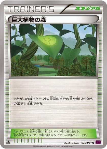 Forest of Giant Plants, XY7: Bandit Ring 079/081