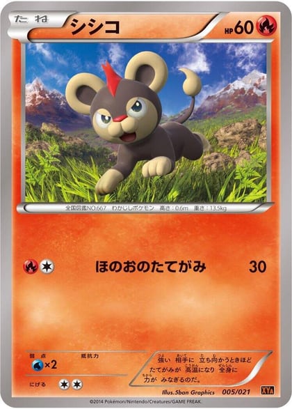 Litleo, XYA: M Charizard-EX Mega Battle Deck 005/021