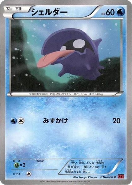Shellder, XY-By: Collection Y 016/060