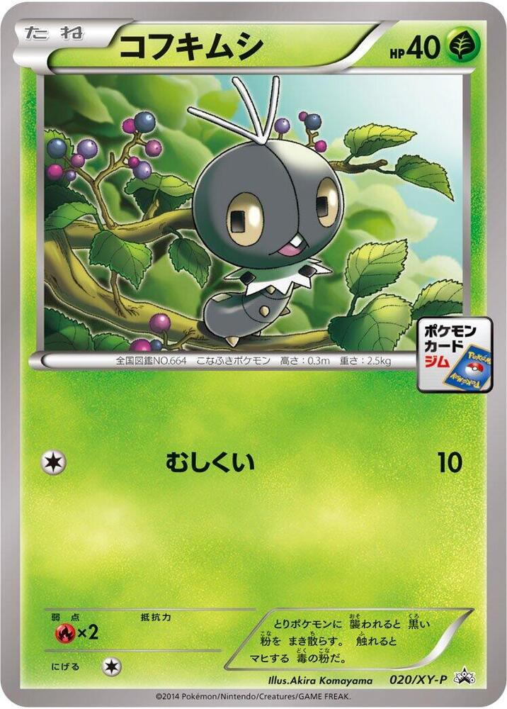 Scatterbug - 020/XY-P, XY-P: XY Promos 020/XY-P