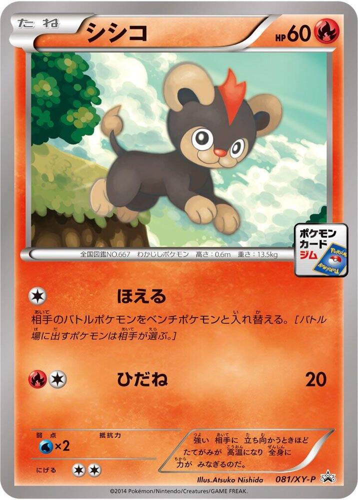 Litleo - 081/XY-P, XY-P: XY Promos 081/XY-P