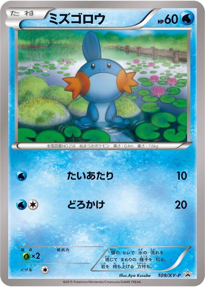 Mudkip - 109/XY-P, XY-P: XY Promos 109/XY-P