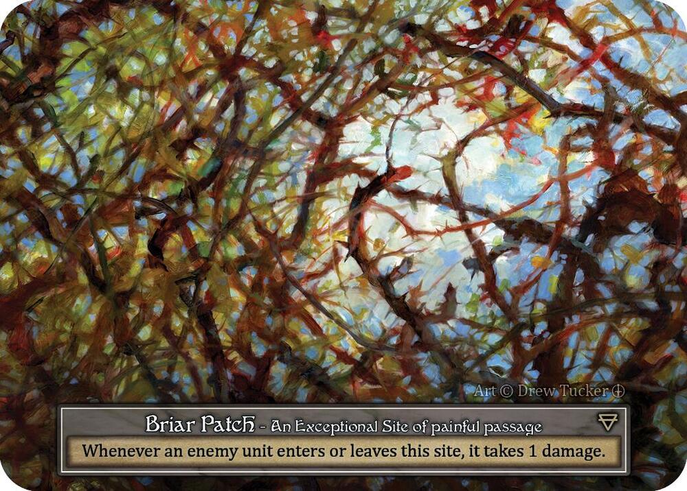 Briar Patch (Foil), Arthurian Legends #585174