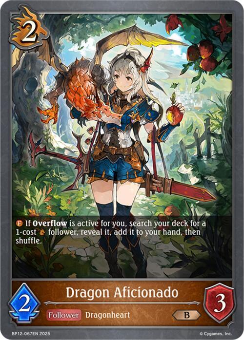 Dragon Aficionado, BP12: Worldreaver’s Descent BP12-067EN