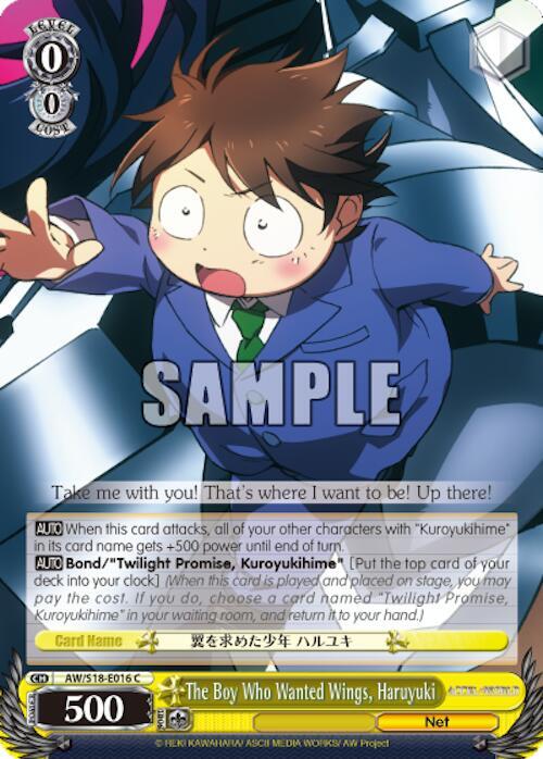 The Boy Who Wanted Wings, Haruyuki, Accel World AW/S18-E016 C
