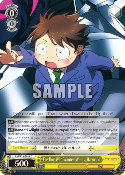 The Boy Who Wanted Wings, Haruyuki, Accel World AW/S18-E016 C