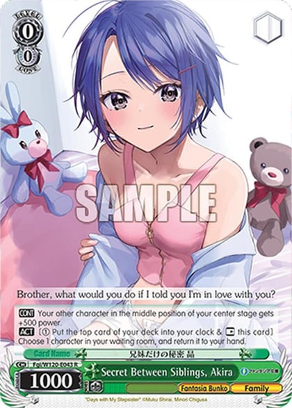Secret Between Siblings, Akira, Fujimi Fantasia Bunko Vol.2 Fgi/W120-E043 R