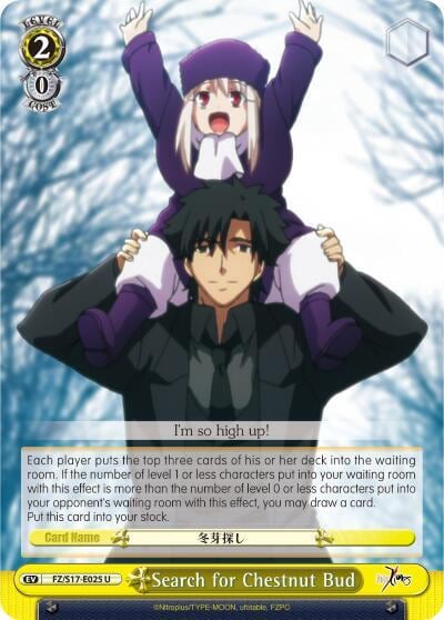 Search for Chestnut Bud, Fate/Zero FZ/S17-E025 U
