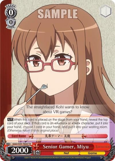 Senior Gamer, Miyu, SAO Alternative–Gun Gale Online GGO/S59-TE04 TD