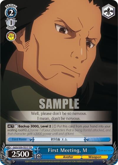First Meeting, M, SAO Alternative–Gun Gale Online GGO/S59-TE17 TD