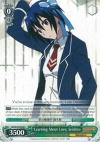 Learning About Love, Seishiro, NISEKOI -False Love- NK/W30-E028 R