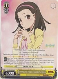 Primp and Proper, Nadeko Sengoku, NISEMONOGATARI NM/S24-E008