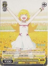 Flower Garden Shinobu Oshino, NISEMONOGATARI NM/S24-E011