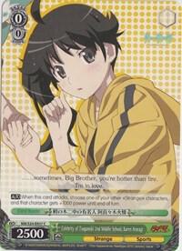 Celebrity of Tsuganoki 2nd Middle School, Karen Araragi, NISEMONOGATARI NM/S24-E037