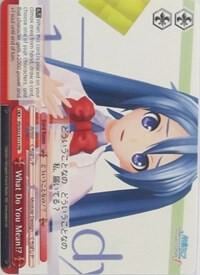What Do You Mean!?, Hatsune Miku -Project DIVA- f PD/S22-E113 PR
