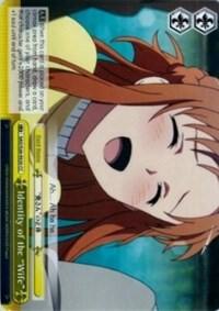 Identity of the "Wife", Sword Art Online Vol.2 SAO/S26-E020 CC