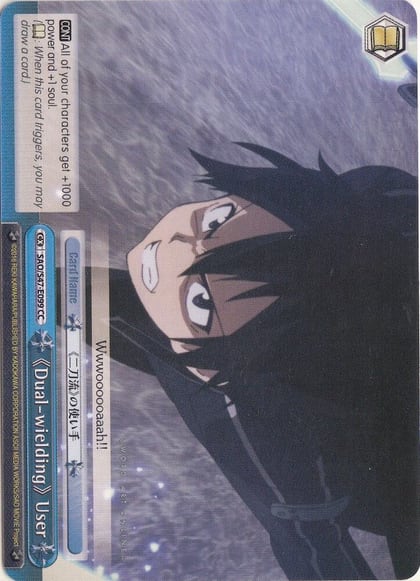 Dual-wielding User, Sword Art Online Re: Edit SAO/S47-E099 CC