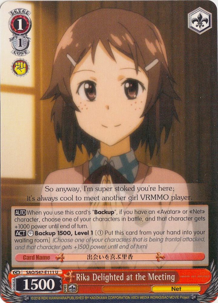 Rika Delighted at the Meeting, Sword Art Online Re: Edit SAO/S47-E111 U