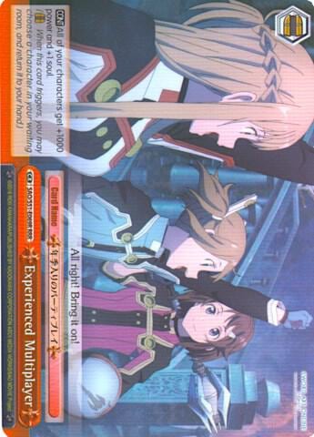Experienced Multiplayer (RRR), Sword Art Online The Movie: -Ordinal Scale- SAO/S51-E069 RRR