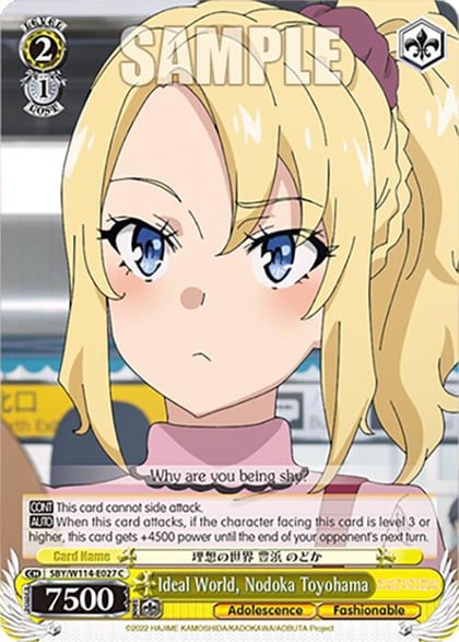 Ideal World, Nodoka Toyohama, Rascal Does Not Dream Series SBY/W114-E027 C