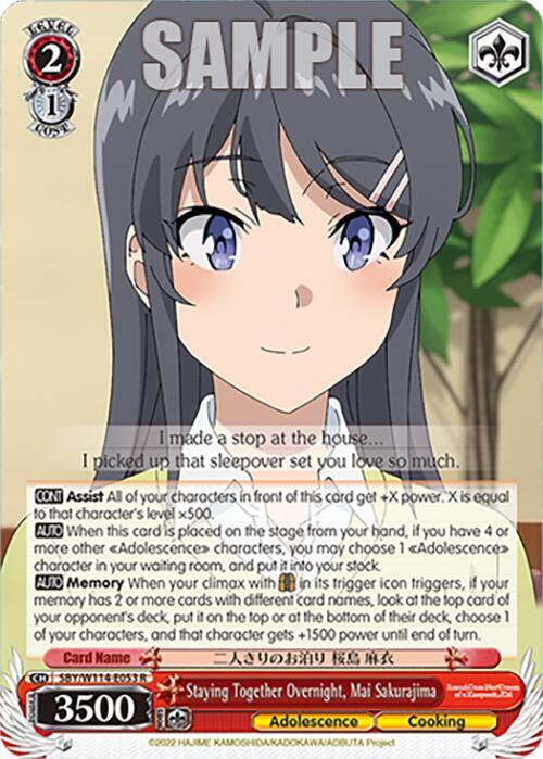 Staying Together Overnight, Mai Sakurajima, Rascal Does Not Dream Series SBY/W114-E053 R