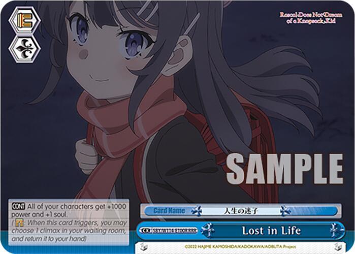 Lost in Life, Rascal Does Not Dream Series SBY/W114-E100 CR