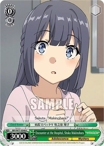 Encounter at the Hospital, Shoko Makinohara, Rascal Does Not Dream of a Dreaming Girl SBY/W77-E040 C