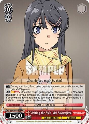 Visiting the Sick, Mai Sakurajima, Rascal Does Not Dream of a Dreaming Girl SBY/W77-E064 C