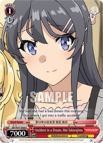 Incident in a Dream, Mai Sakurajima, Rascal Does Not Dream of a Dreaming Girl SBY/W77-E066 C