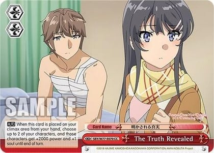 The Truth Revealed, Rascal Does Not Dream of a Dreaming Girl SBY/W77-E070 CC