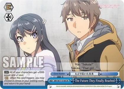 The Future They Finally Reached, Rascal Does Not Dream of a Dreaming Girl SBY/W77-E100 CR