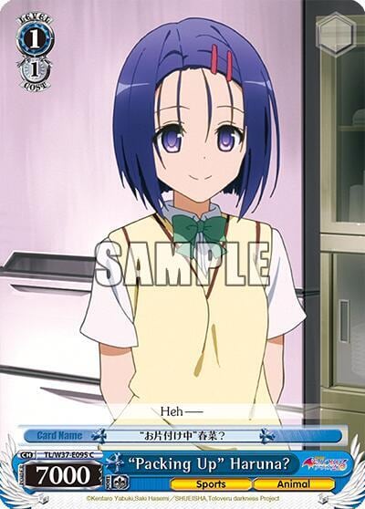 "Packing Up" Haruna?, To Loveru Darkness 2nd TL/W37-E095 C