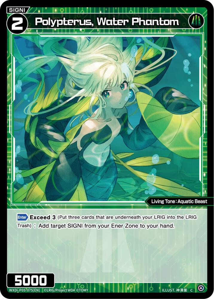 Polypterus, Water Phantom, Curiosity Diva WXDi-P05-075[EN]