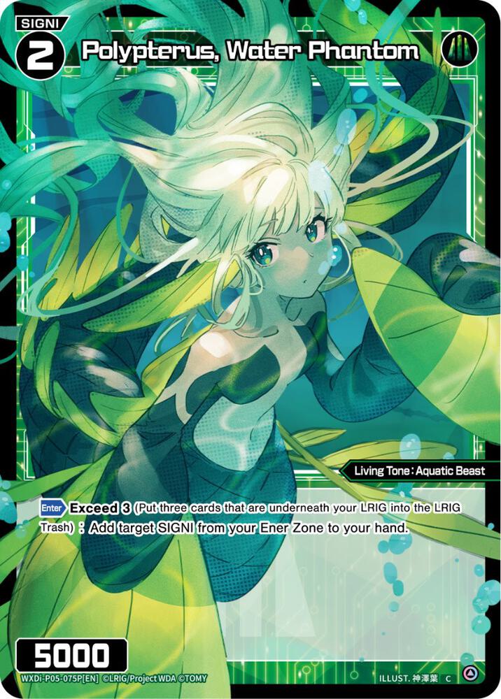 Polypterus, Water Phantom (Parallel Foil), Curiosity Diva WXDi-P05-075P[EN]