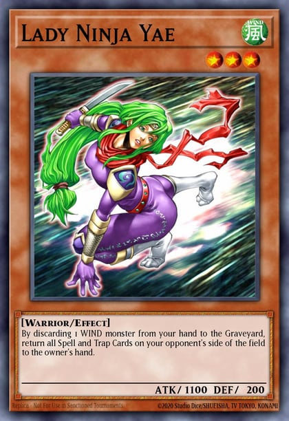Lady Ninja Yae, Ancient Sanctuary AST-030