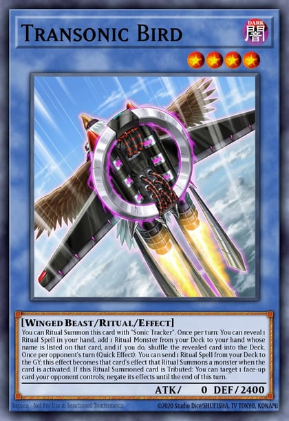 Transonic Bird, Burst of Destiny BODE-EN037
