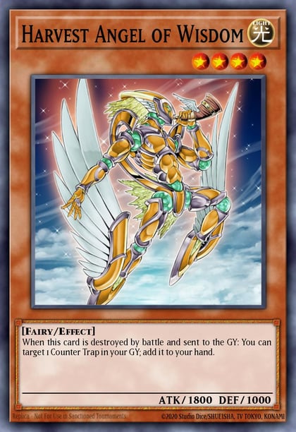 Harvest Angel of Wisdom, Crossroads of Chaos CSOC-ENSE1